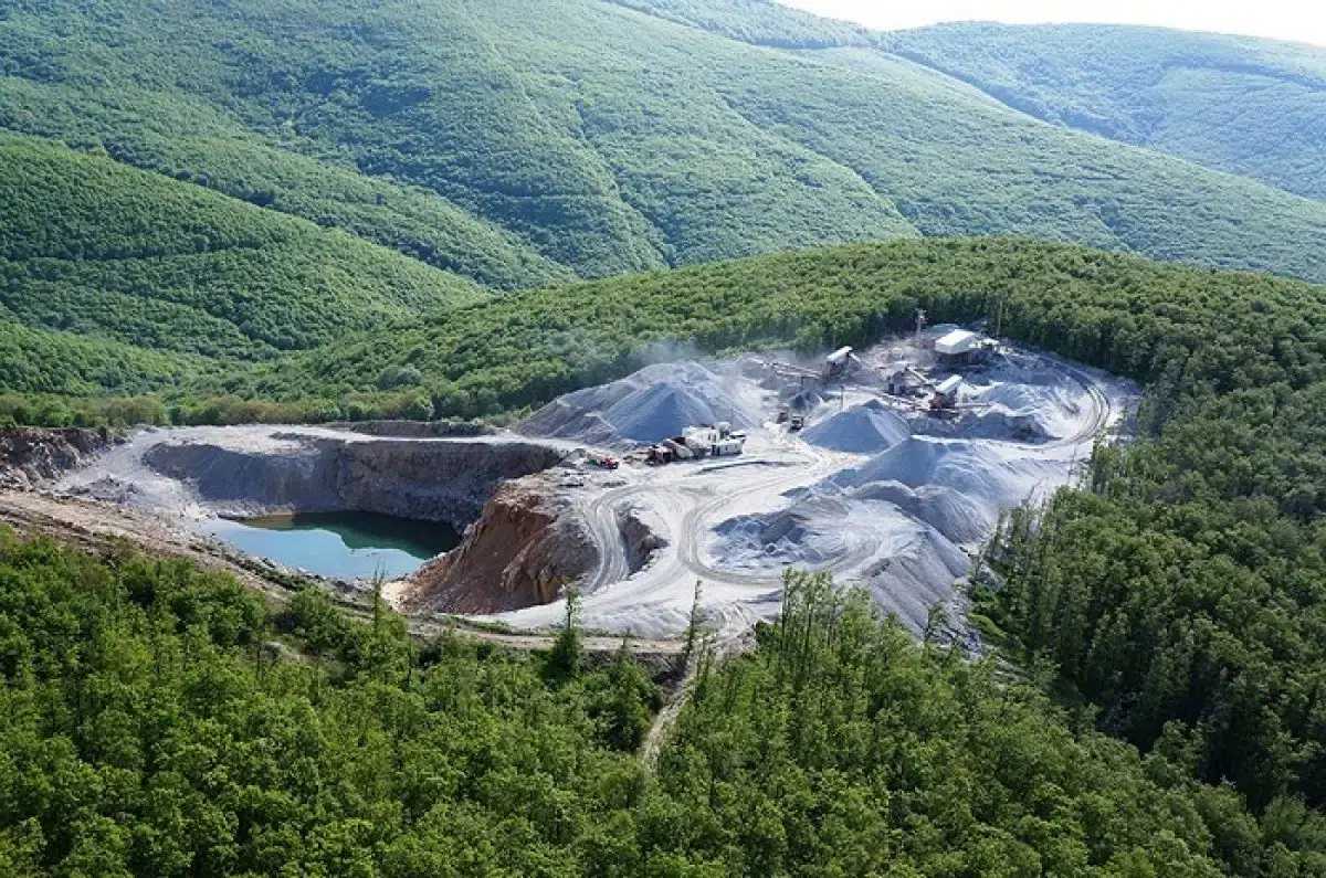 Ormanların Kullanıma Açılması Yangınlara Göre Daha Büyük Bir Alanı Yok Ediyor! Ormanların Kullanıma Açılması Yangınlara Göre Daha Büyük Bir Alanı Yok Ediyor!