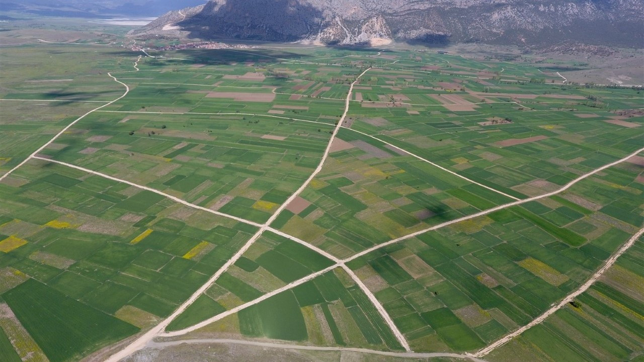 İşlenmeyen tarım arazileri için yeni dönem kasımda başlayacak